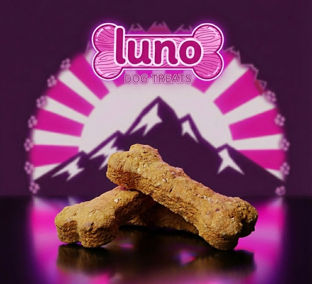 Luno Bone Broth Biscuits (100g)